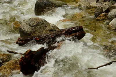 DSC_2275 (Large).JPG